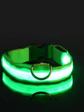 Collar para perro de nailon LED VERDE talla S